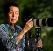 麻豆91官网下载-燃情网络，探秘麻豆91官方平台——掌握高清体验新纪元
