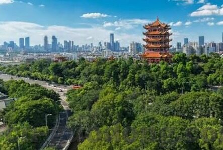 麻豆传媒app怎么下载-掌舵网络，明辨取舍，安全与正确下载应用程序的引导