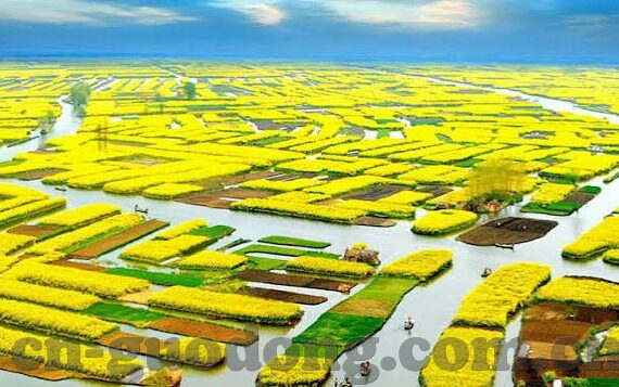 麻豆传媒在线app-麻豆传媒在线app的迷思与现实，构建健康娱乐观念的重要性