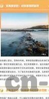 麻豆短视频下载app-来吧，一起畅游麻豆短视频的奇妙世界