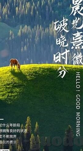 麻豆视频成人-低下视角，成人内容的警醒审视