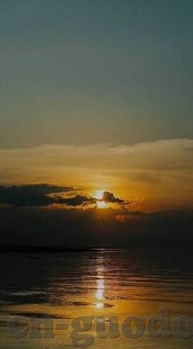 糖心vlog二维码下载-体验生活新风尚，解锁糖心Vlog的独特魅力——从二维码下载开始